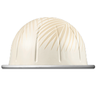 Tropical Coconut Flavour Over Ice